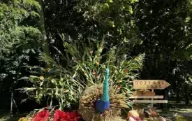 Sołectwo Kijewo Szlacheckie. Witacz przedstawiający pawia stojącego wsr&oacute;d kwiat&oacute;w i warzyw