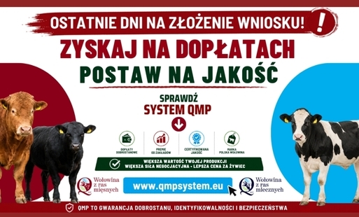 System QMP - Informacja o możliwości złożenia wniosku na dodatkowe pieniądze dla hodowców bydła